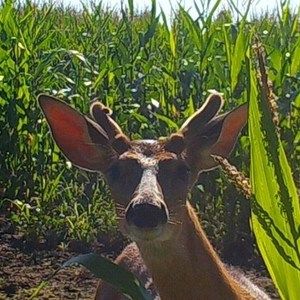 Meet your Posher, Doug